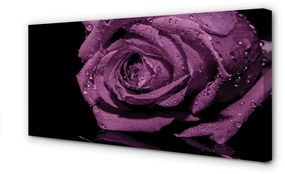 Stampa quadro su tela Rosa viola 100x50 cm