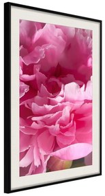 Poster  Magenta Madness  Cornice Quadri Cornice nera con pass-partout, Larghezza x Altezza Home decor 20x30