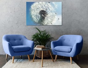 Quadro su tela – Dettaglio del soffione