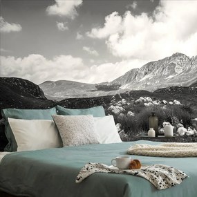 Carta da parati – Valle in bianco e nero in Montenegro