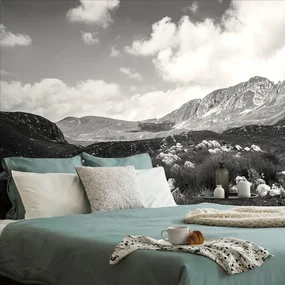 Carta da parati – Valle in bianco e nero in Montenegro