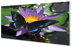 Quadro vetro acrilico Fiore di farfalla 100x50 cm