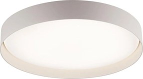 Schöner Wohnen 14595-39 - Plafoniera LED dimmerabile TAVOLI LED/34W/230V grigio +telecomando