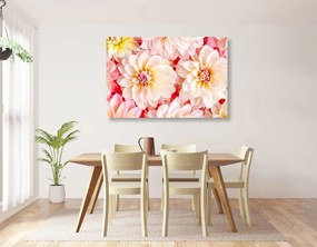 Stampa su tela – Fiori delicati di dalia
