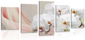 Quadri 5 pezzi – Orchidea bianca su tela