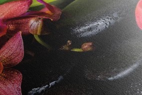 Stampa su tela – Natura morta Zen rilassante