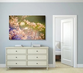 Stampa su tela – Natura morta di fiori