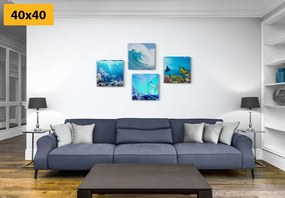 Set di quadri – Vita sotto il mare