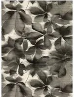 Harlequin Carta da parati Grounded - Black Earth/ Parchment