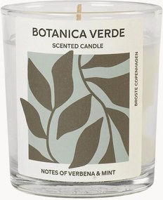 Candela profumata Botanica Verde (verbena & menta)