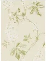 Tapete Chestnut Tree von Sanderson - Lemon/ Lettuce