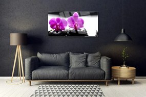 Quadro su vetro Fiori Orchidea Natura 100x50 cm