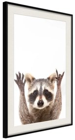 Poster  Funny Racoon  Cornice Quadri Cornice nera con pass-partout, Larghezza x Altezza Home decor 20x30