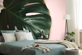 Carta da parati – Foglia di monstera