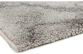 Tappeto grigio 200x290 cm Dream - Asiatic Carpets