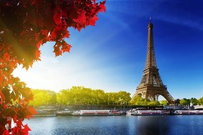 Carta da parati autoadesiva – Parigi autunnale