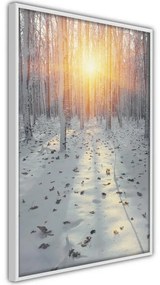 Poster Frosty Sunset