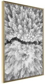 Poster  Frost Land  Cornice Quadri Cornice d'oro, Larghezza x Altezza Home decor 40x60