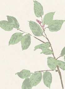 Lewis & Wood Carta da parati Beech - Document Green