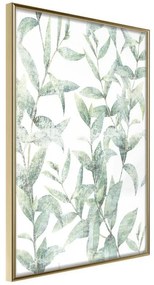 Poster  Sheer Batiste  Cornice Quadri Cornice d'oro, Larghezza x Altezza Home decor 40x60