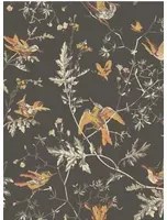 Cole & Son Carta da parati Hummingbirds - Charcoal/ Ginger
