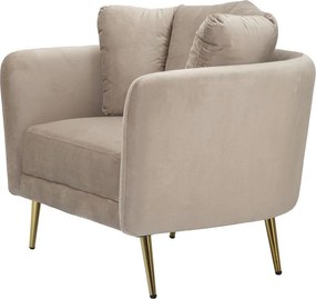 Poltrona grigio tortora con poggioli/con gambe con rivestimento in velluto Kiev – Mauro Ferretti