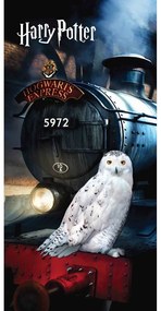 Asciugamano per bambini in cotone 70x140 cm Harry Potter "Hedwig" – Jerry Fabrics