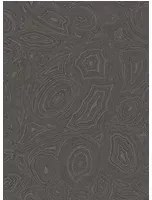 Cole & Son Carta da parati Malachite - Charcoal/ Silver