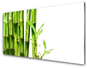 Quadro su vetro Pianta di bambù 100x50 cm