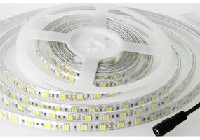 Bobina Led 300 SMD 5050 12V 10,8W/M Neutro 4000K IP65 Impermeabile 5 Metri Unguente Di Silicone Incluso SKU-212150