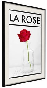 Poster  Rose in the Vase  Cornice Quadri Cornice nera con pass-partout, Larghezza x Altezza Home decor 40x60