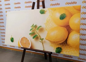 Stampa su tela – Limoni con menta
