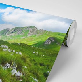 Carta da parati – Valle in Montenegro