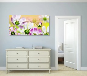 Stampa su tela – Fiori da giardino