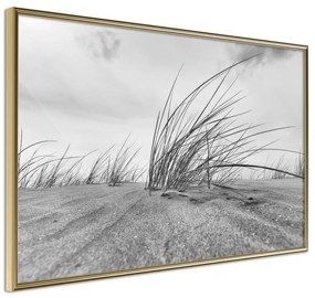 Poster  Seaside Dunes  Cornice Quadri Cornice d'oro, Larghezza x Altezza Home decor 45x30