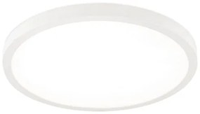Orion - Plafoniera LED dimmerabile DISC LED/30W/230V 2700/3000/4000K Ø 40 cm bianco