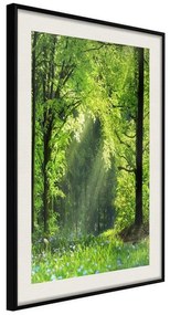 Poster  Forest Path  Cornice Quadri Cornice nera con pass-partout, Larghezza x Altezza Home decor 20x30