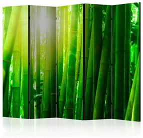 Paravento design Sun and bamboo II [Room Dividers]