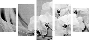 Quadri 5 pezzi – Orchidea su tela in bianco e nero