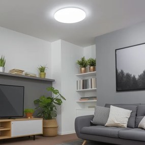 Brilagi - Plafoniera LED dimmerabile SMART 24W/230V Wi-Fi Tuya + telecomando