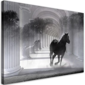 Quadro su tela, Correndo cavallo 3D  Dimensioni 100x70