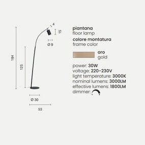 Piantana a LED H184 cm in metallo Oro con faretto orientabile MURGA