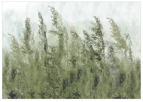 Fotomurale adesivo Tall Grasses Green