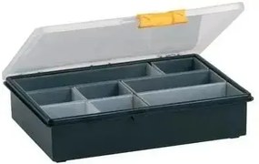 ORGANIZER CON 8 VASCHETTE CLASS 22