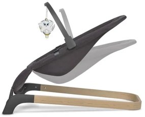 Lionelo - Altalena per bambini JUNE antracite