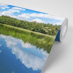 Fotomurale – Natura in estate