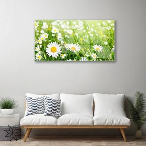 Quadro in vetro Pianta di fiori di margherita 100x50 cm