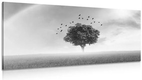 Stampa su tela – Albero solitario nel prato in bianco e nero