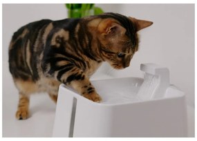 Fontana per animali domestici Epic Pet Zen - Plaček Pet Products