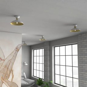 Lampadario a plafone FELIX 1xE27/60W/230V bianco